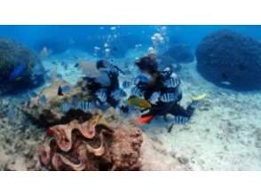 14. 觀魚之旅時間！