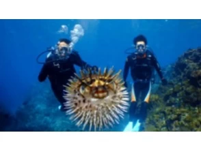 15．思い出水中写真撮影タイム