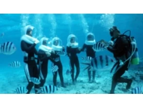 6.水中散策タイム