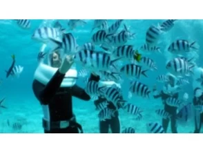 8.さかな観察ツアー