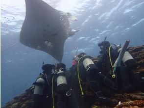 3ヶ所目ポイント