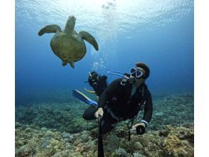 ダイビング開始