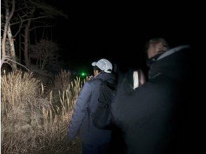 ナイトハイク開始