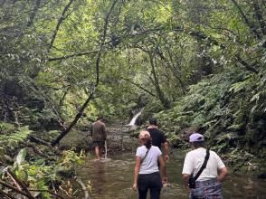 山に入って、森林浴をしながらトレッキング