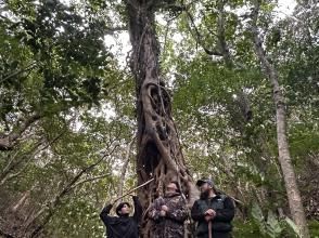 巨木と記念撮影！