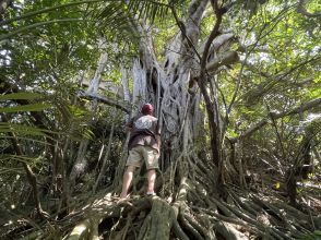 集落を見守る御神木