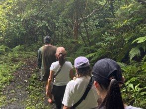 帰り道だからこそ気付くことも