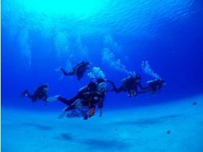 Diving in the sea with equipment