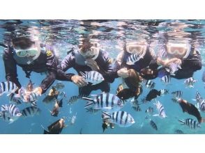 魚を見ながら移動します