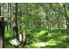 高山入口に到着