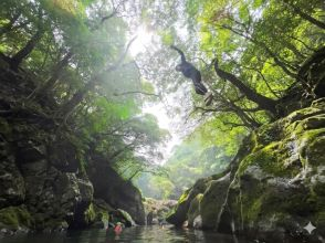 【STEP5】（約15分）河原でのんびりティータイム！思いっきり遊んだ後は、加江田渓谷の絶景に囲まれた河原でほっこり一息。大自然の中で飲むお茶は、もう格別のひと言！