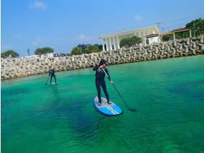 Snorkeling in the sea of tropical fish and coral reefs