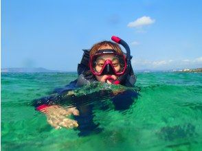 Tropical fish and coral reef sea