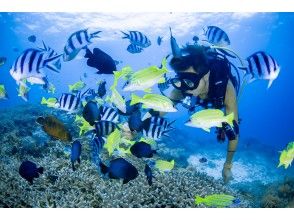 [Experience diving tour (about 40 to 50 minutes)]