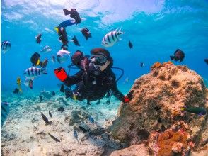 [Experience diving tour (about 40 to 50 minutes)]