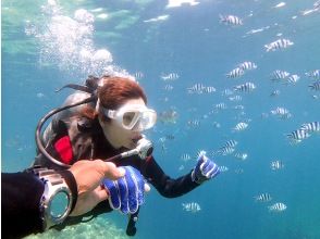 Let's go see the anemone fish!