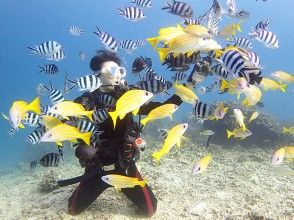 カラフルなお魚もたくさん♪