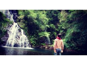 At a waterfall in the primeval forest