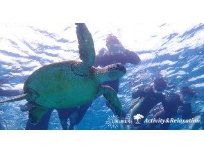 Snorkel tour