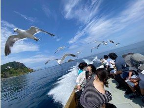 カモメの餌やり