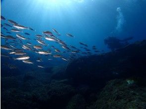 If you get used to the water in a shallow place, take a walk on the seabed for about 20 minutes