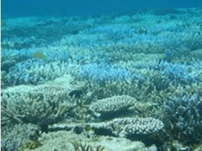 1日コースタイムスケジュール