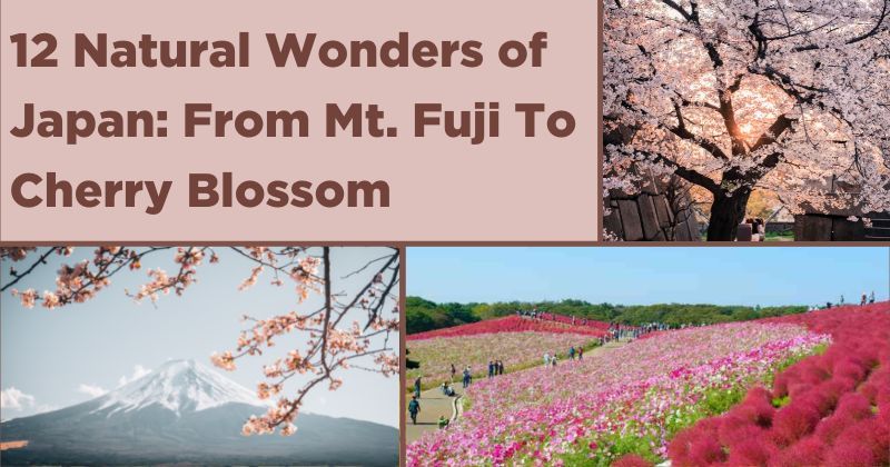 12 Natural Wonders of Japan From Mt. Fuji To Cherry Blossom