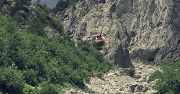WING SUIT