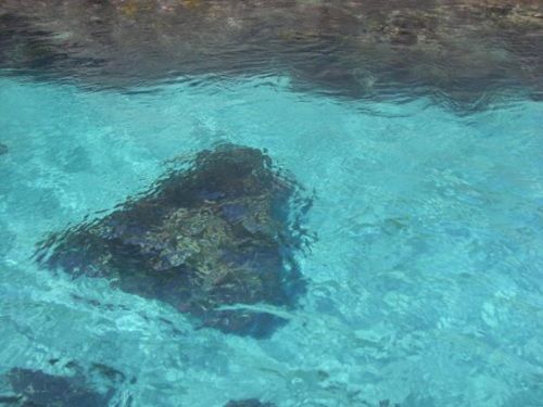 ヒリゾ浜