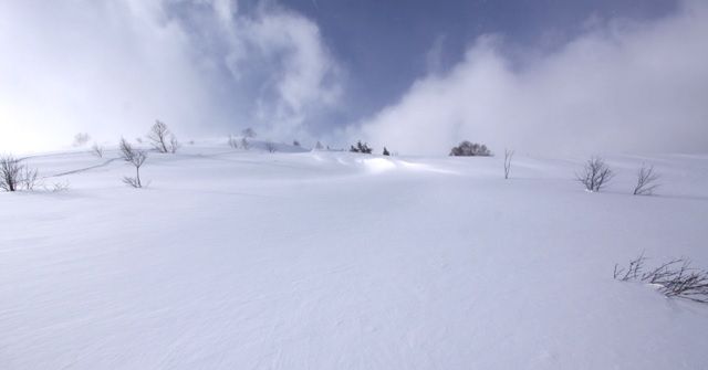 BackCountry(バックカントリー)