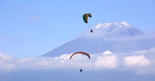 Paraglider