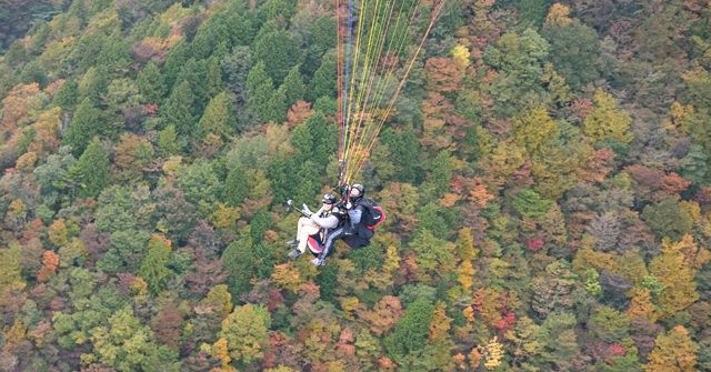 Paraglider