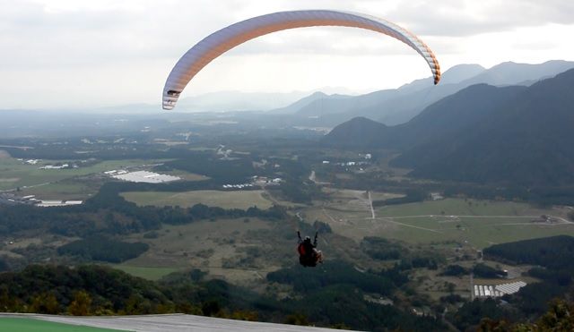 Paraglider