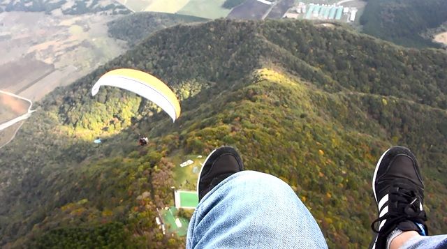 Paraglider