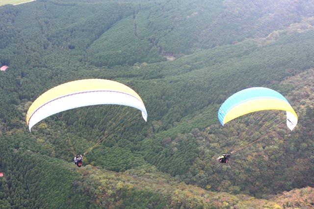 Paraglider