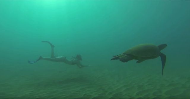 FreeDiving(フリーダイビング)