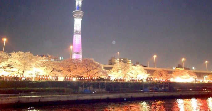 【期間限定】隅田川でお花見CHANDONクルーズ!!お得なフリードリンク付き!!