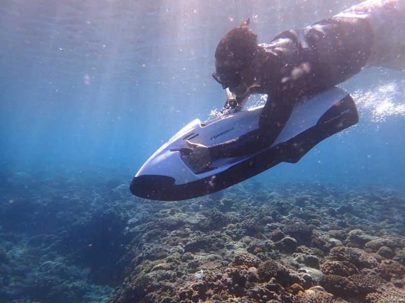 新着激推し】最新アクティビティ『SEABOB（シーボブ）』やっちゃえ 