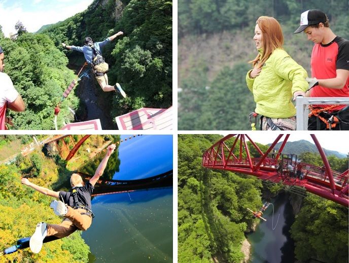 Popular bungee 5 selection