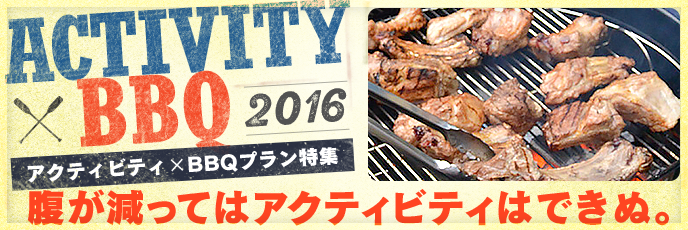 Activity × BBQ Feature 2016