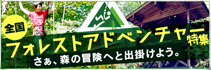 Forest adventure feature