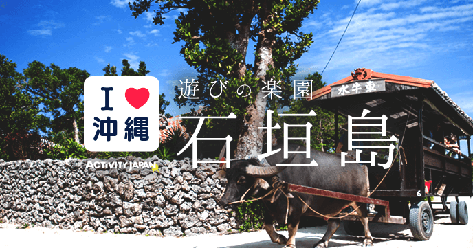 【Latest Version】 2018 Ishigaki Island Popularity Activity Ranking