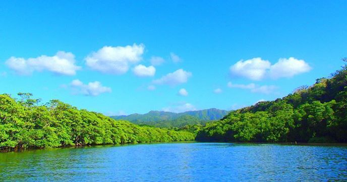 Okinawa banana boat