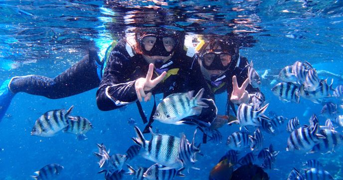 Okinawa diving