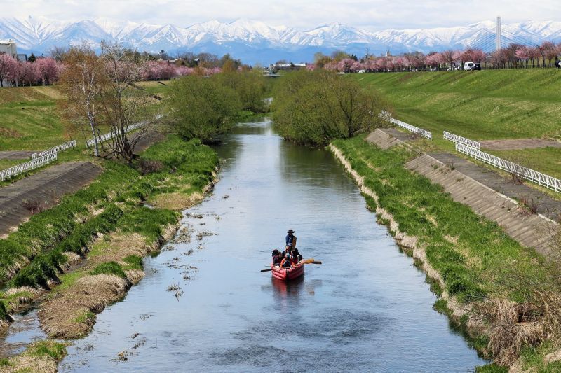 Obihiro River Cherry-bloss