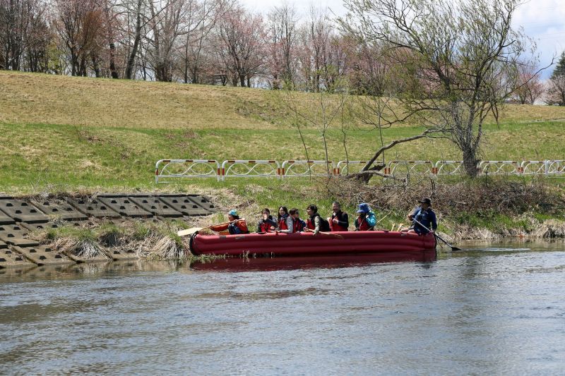 Obihiro River Cherry-bloss