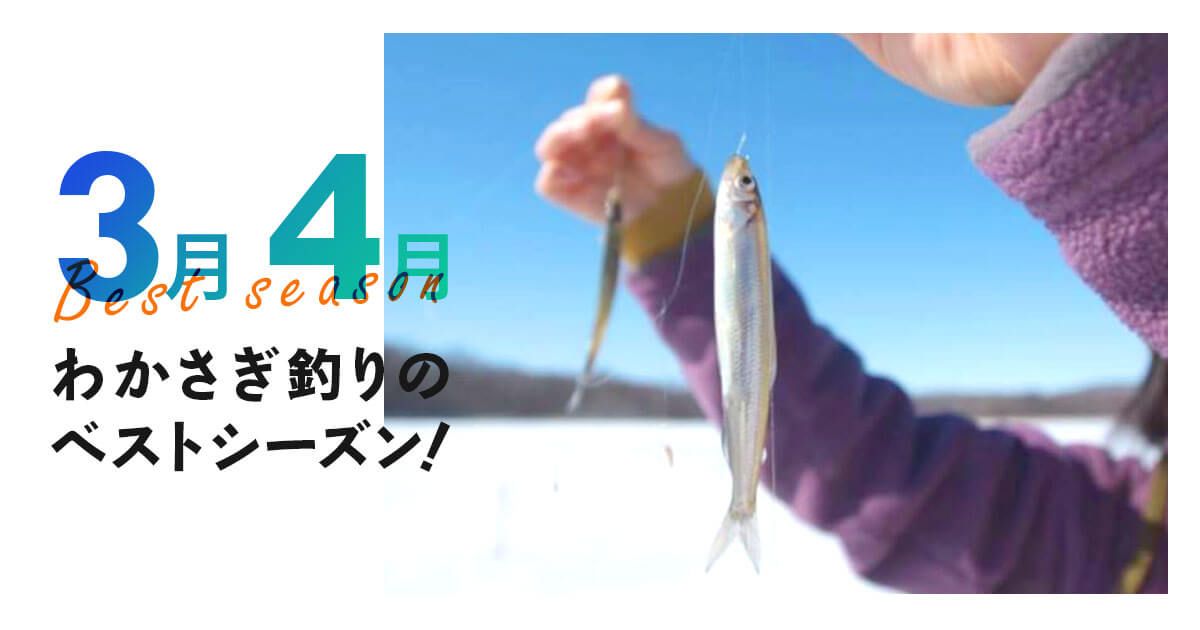 3月到4月是公公釣的最佳季節！全國公公漁業計劃專刊形象