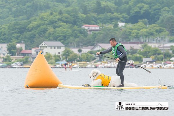 大きい犬