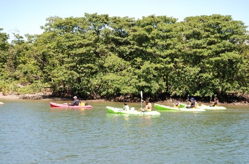 西表島　浦内川観光 カヌー