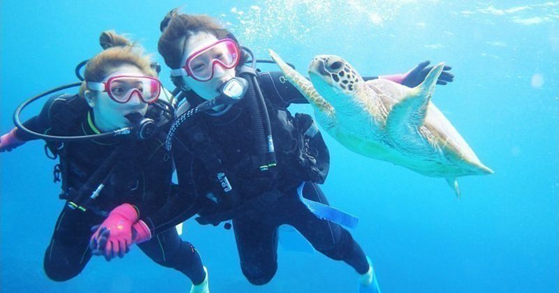 [ประสบการณ์ Kerama ดำน้ำ] ออกเดินทางจาก "Ginowan" ในภาคกลางของเกาะหลัก! "Alpha Dive Okinawa" ที่แม้แต่ผู้เริ่มต้นก็มีความสุขกับ 2 ไดฟ์